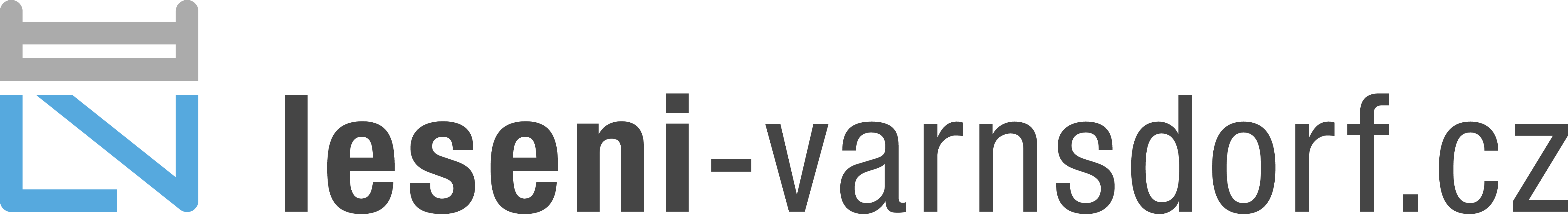 Primary Raster logo